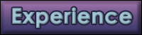 experience page button
